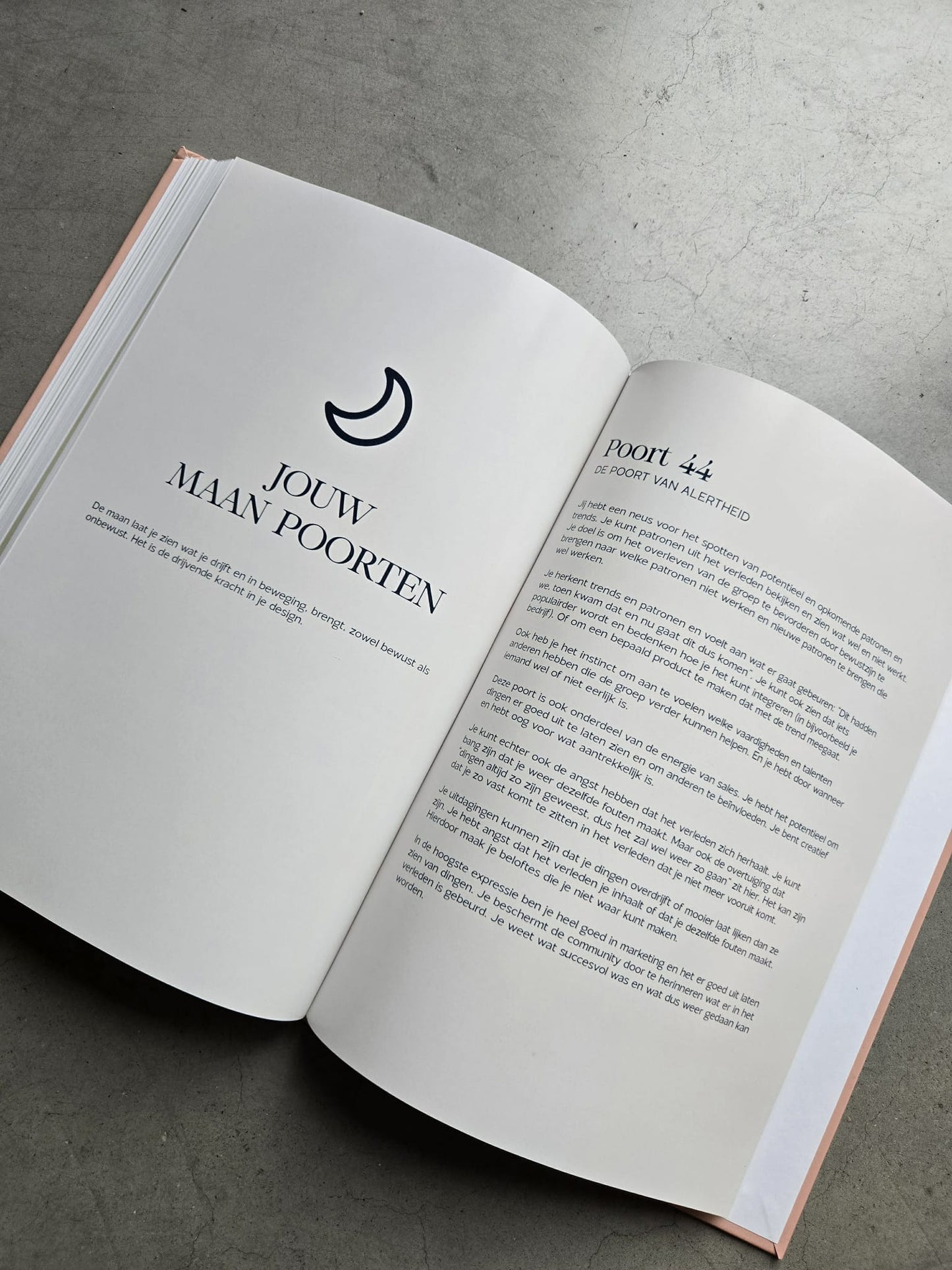 Volwassenengids (Hardcover A4)