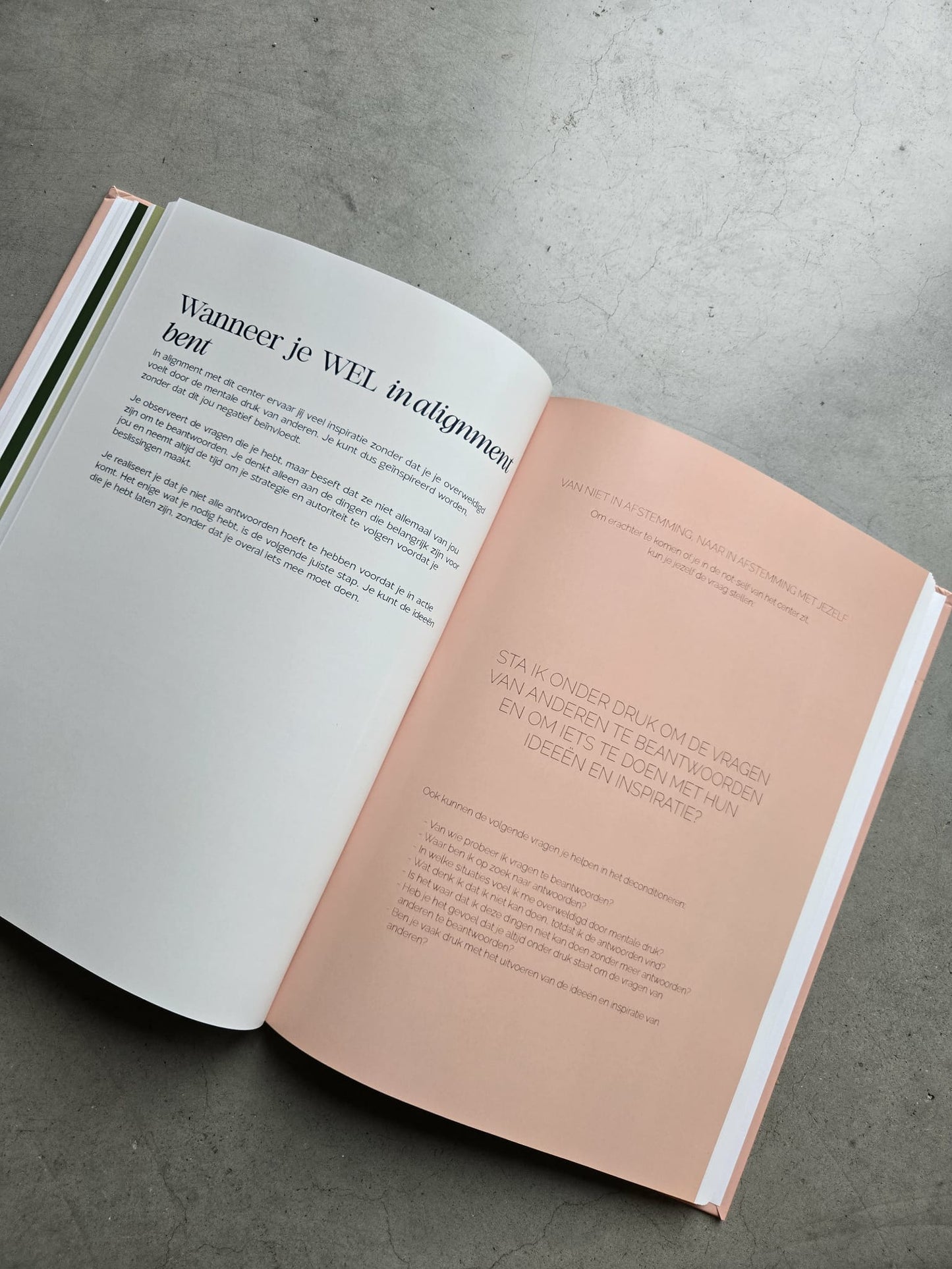 Volwassenengids (Hardcover A4)