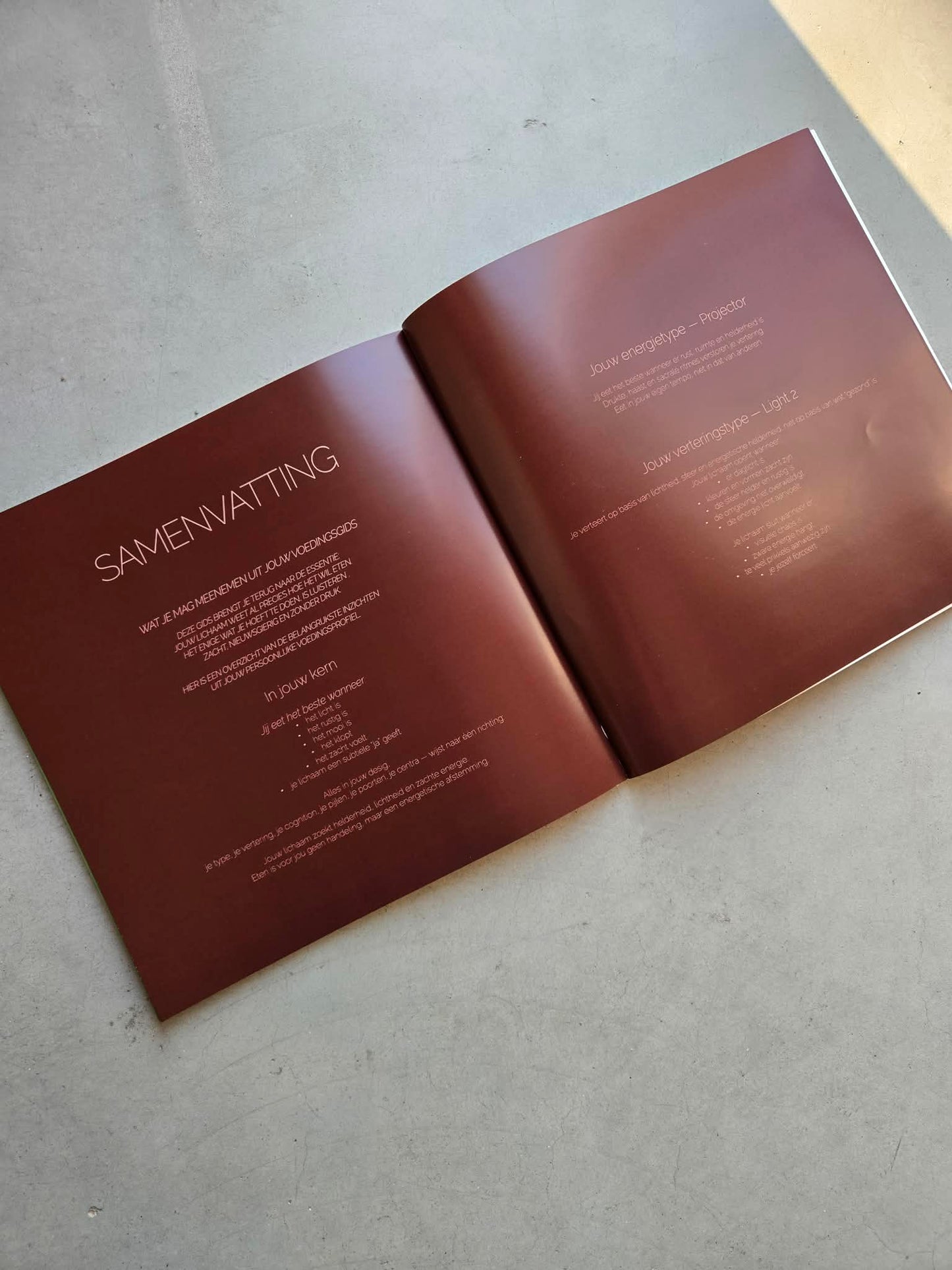 Voedingsgids — Eten volgens je Human Design  Softcover  21 × 21 cm