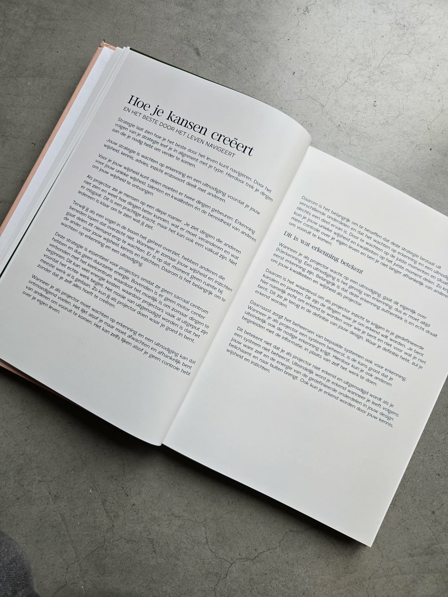 Volwassenengids (Hardcover A4)