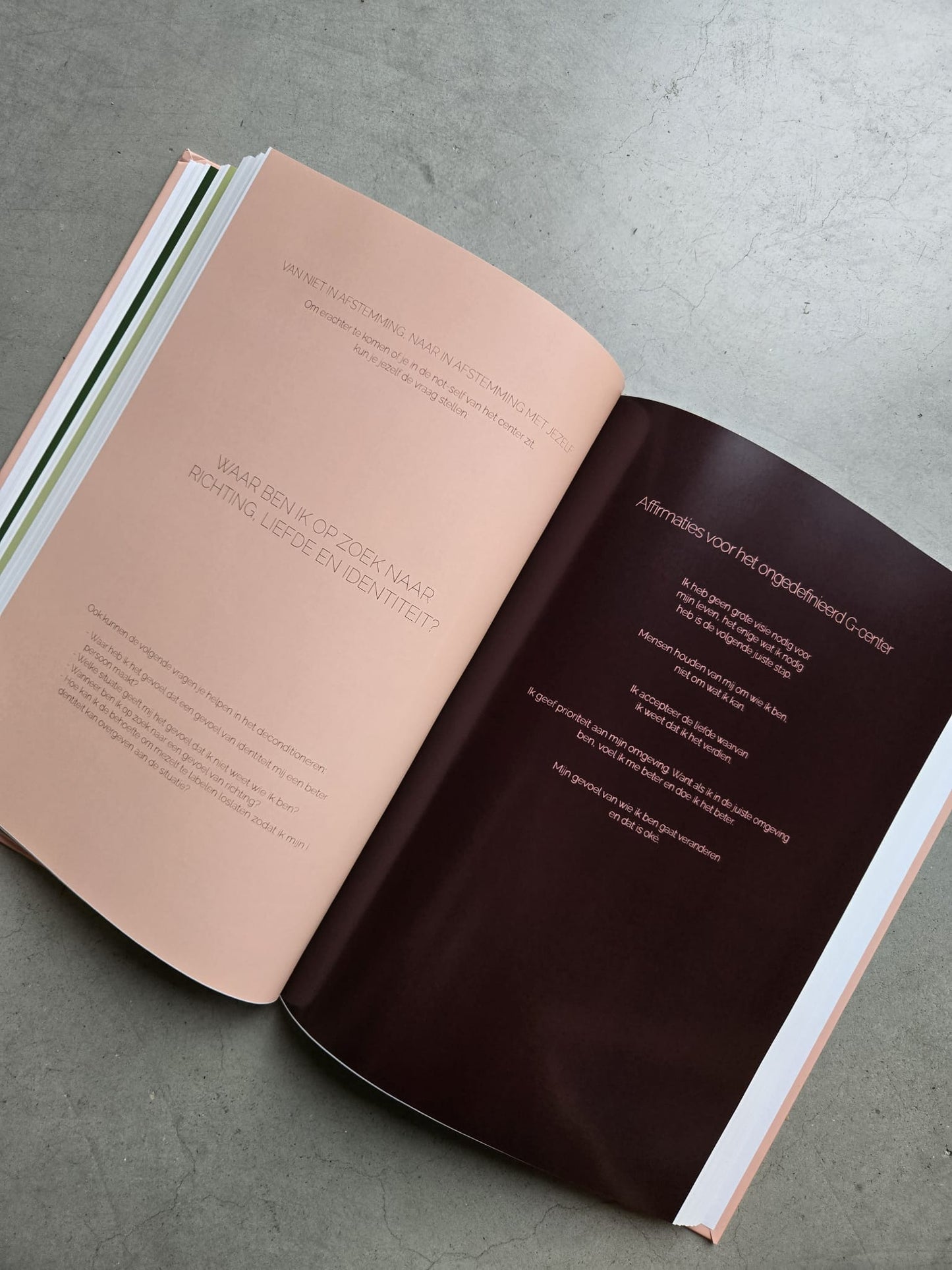 Volwassenengids (Hardcover A4)