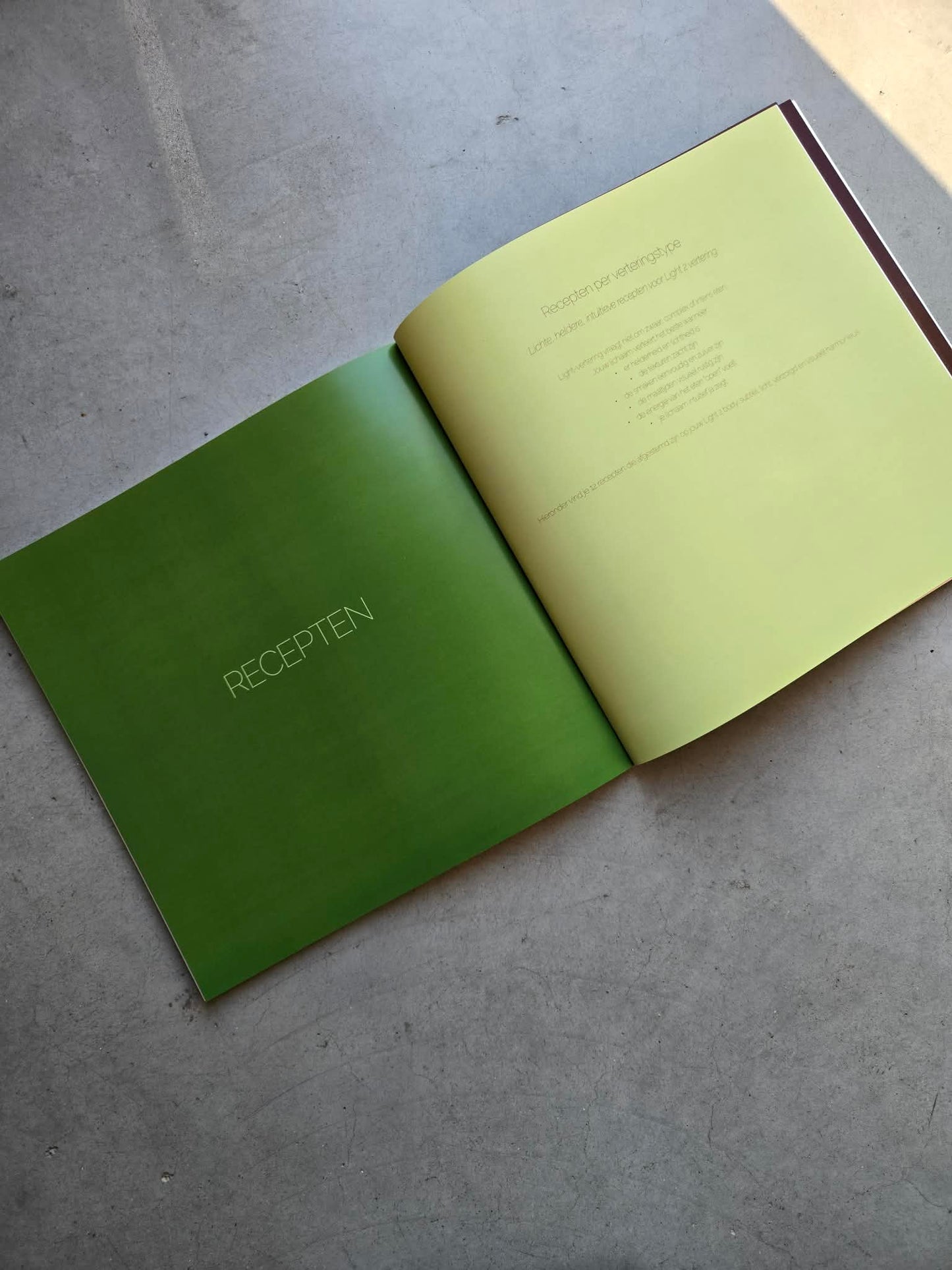 Voedingsgids — Eten volgens je Human Design  Softcover  21 × 21 cm