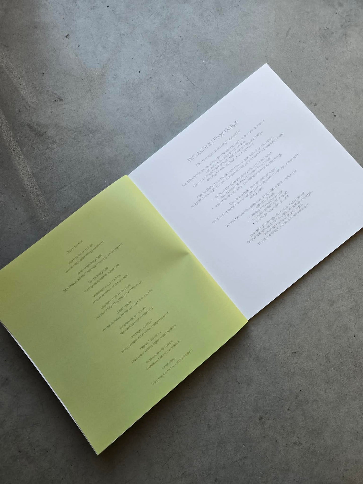 Voedingsgids — Eten volgens je Human Design  Softcover  21 × 21 cm