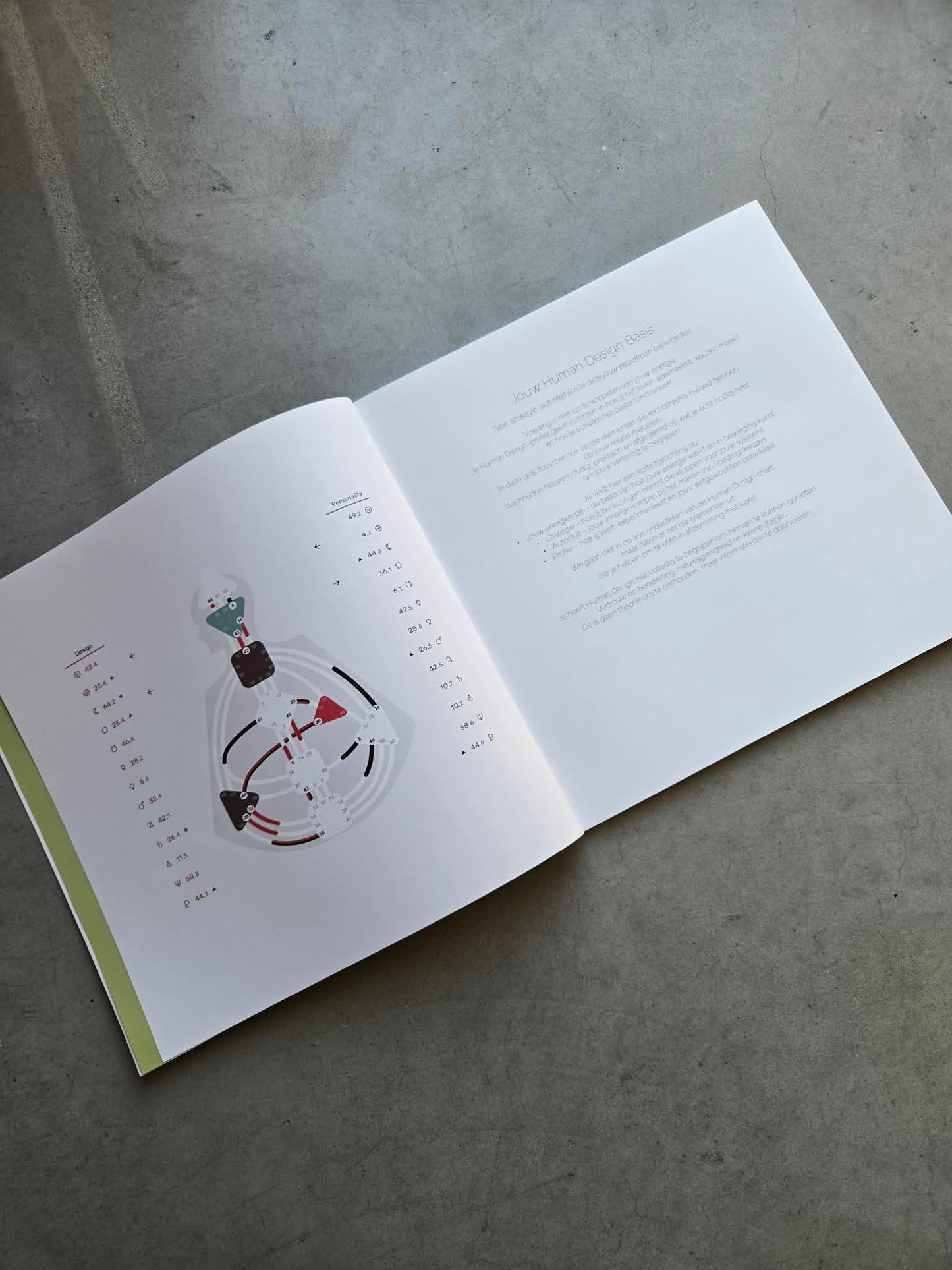 Voedingsgids — Eten volgens je Human Design  Softcover  21 × 21 cm