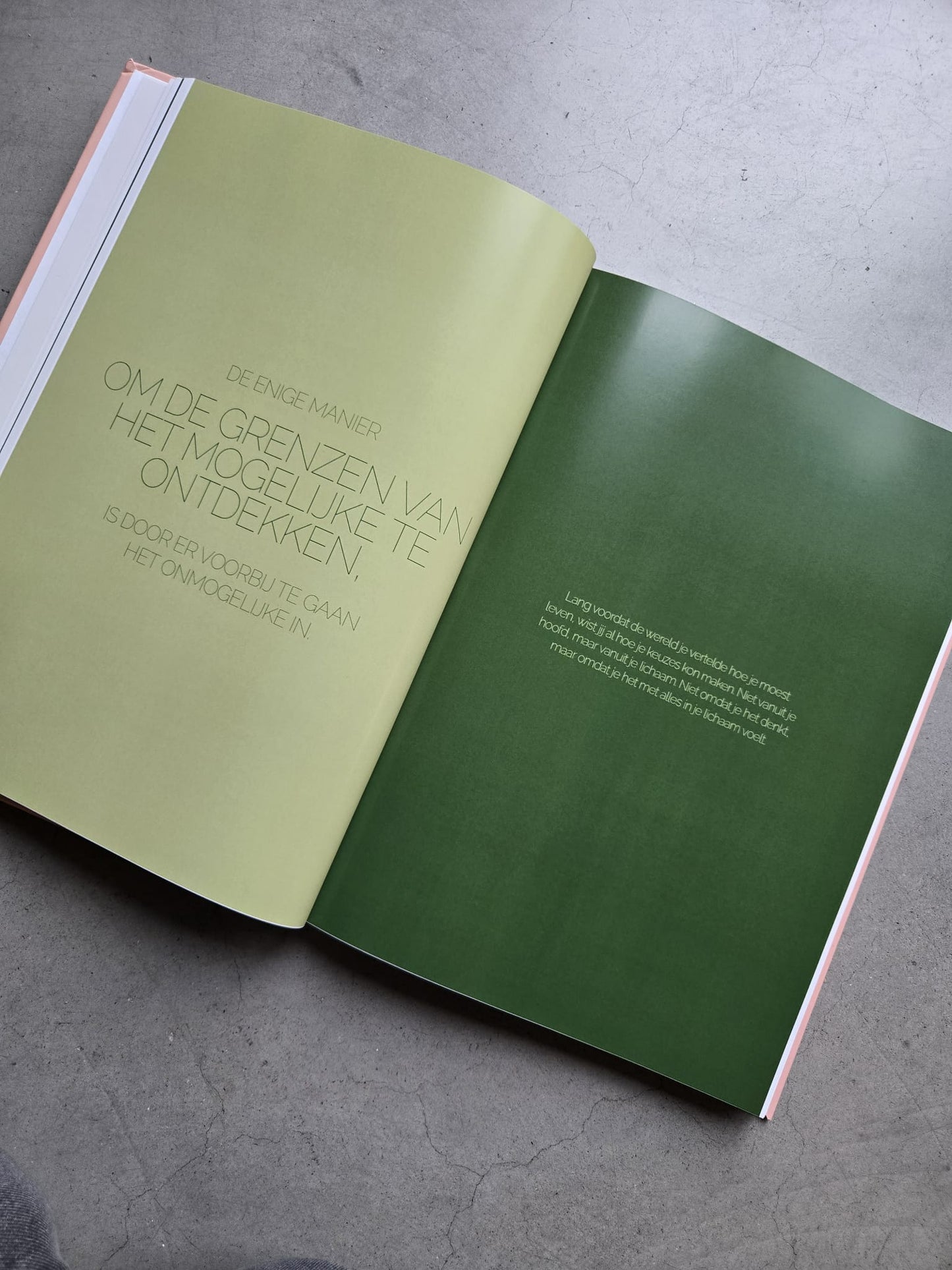 Volwassenengids (Hardcover A4)