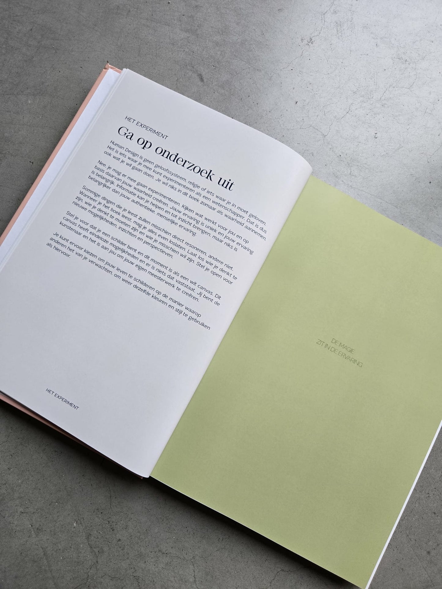 Volwassenengids (Hardcover A4)